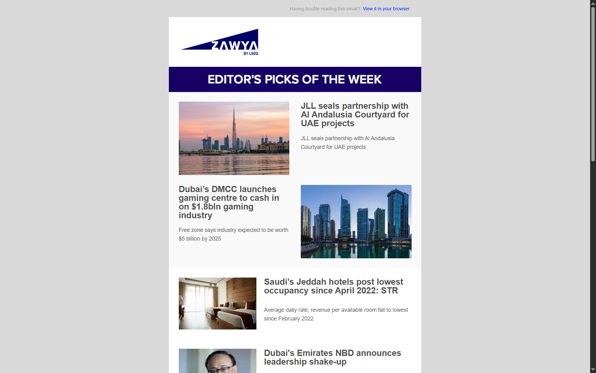 Newsletter Generator Demo